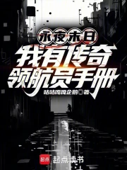 永夜末日：我有传奇领航员手册