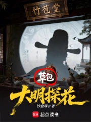 大明草包探花